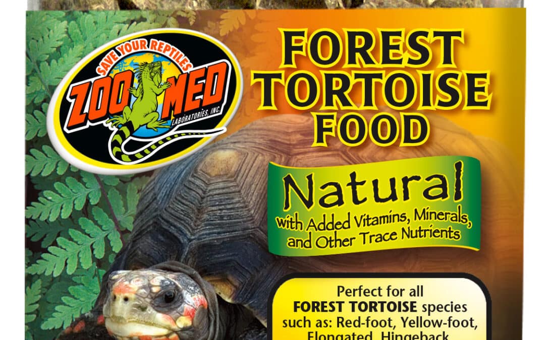 Forest Tortoise Food