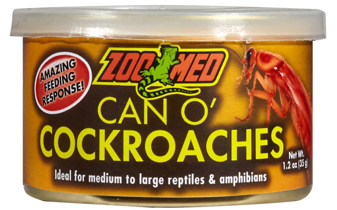 Can O’ Cockroaches