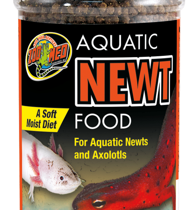 Aquatic Newt Food